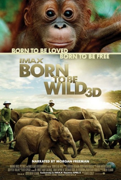 Born to Be Wild izle