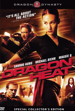 Ejder Takımı – Dragon Heat Film izle