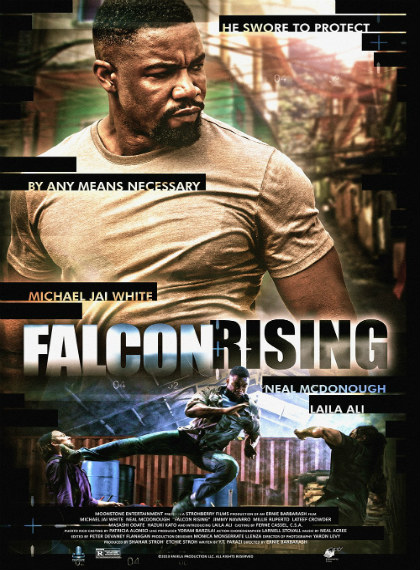 Falcon Rising İzle