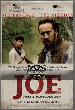 Joe (2013) Türkçe Dublaj izle