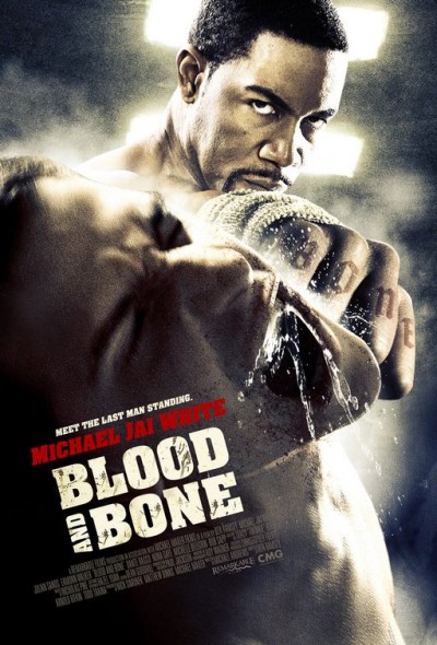 Kan ve Kemik – Blood And Bone Full İzle