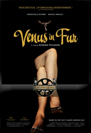 Kürklü Venüs – Venüs In Fur izle