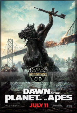 Maymunlar Cehennemi Şafak Vakti – Dawn Of The Planet Of The Apes izle