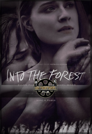 Ormana Doğru – Into The Forest İzle