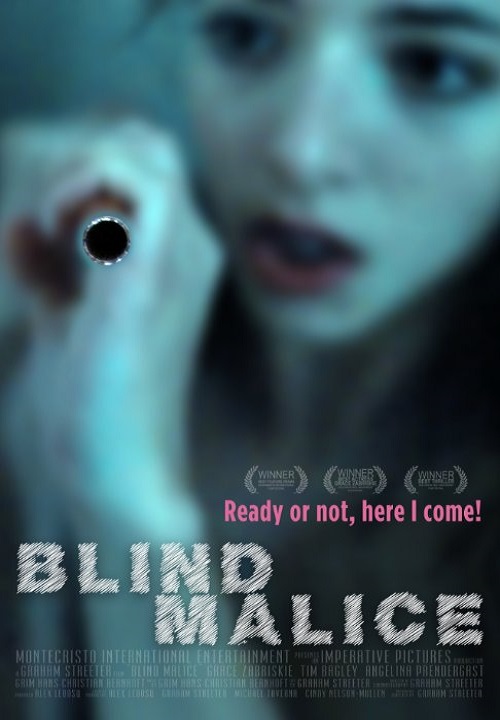 Saf Kötülük – Blind Malice Türkçe Dublaj İzle