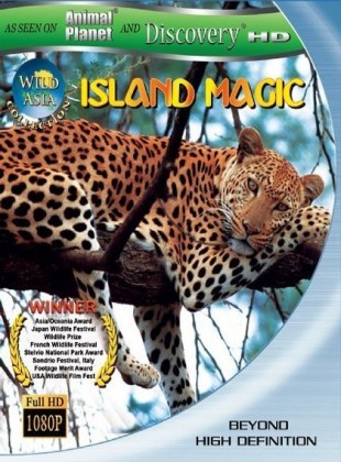 Sihir Adası – Island Magic izle