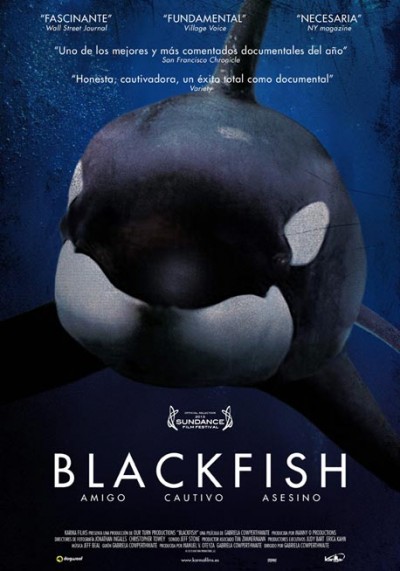 Siyah Balık – BlackFish Belgesel izle