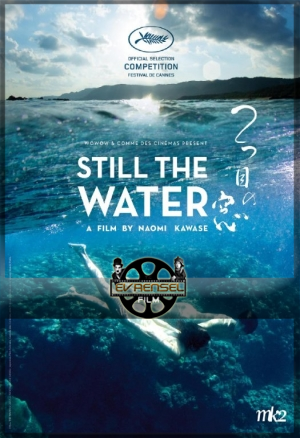 Still The Water Türkçe Altyazı HD izle – Dingin Sular izle