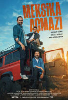 Meksika Açmazı izle