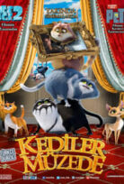 Kediler Müzede izle